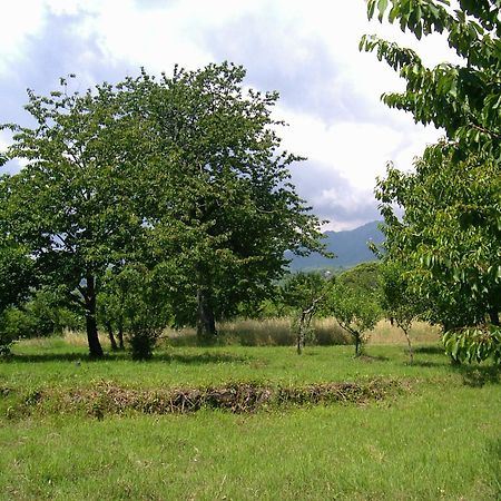 Cirasellaetna Βίλα SantʼAlfio Εξωτερικό φωτογραφία