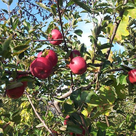 Cirasellaetna Βίλα SantʼAlfio Εξωτερικό φωτογραφία