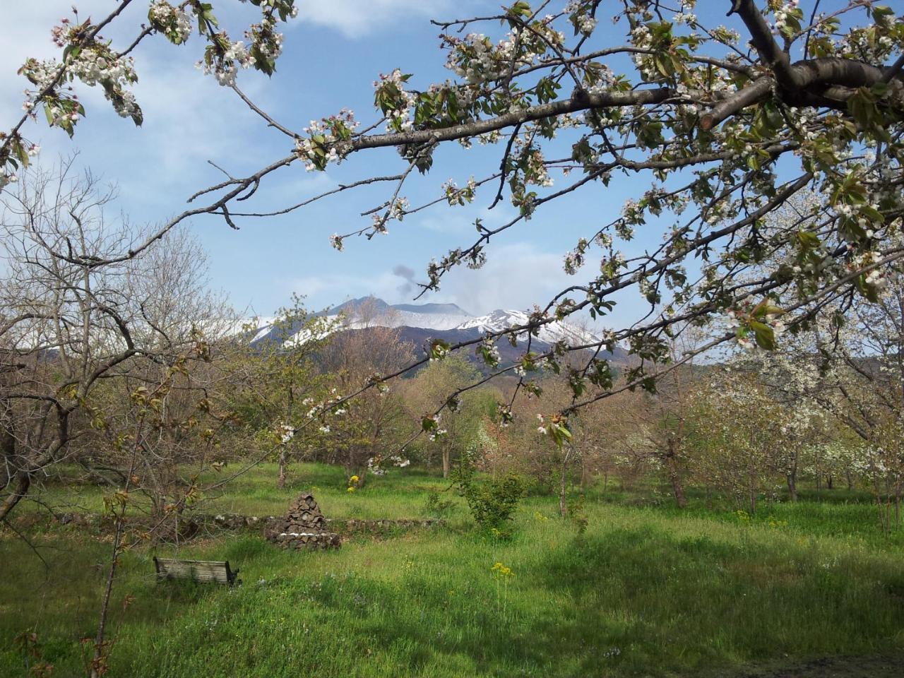 Cirasellaetna Βίλα SantʼAlfio Εξωτερικό φωτογραφία