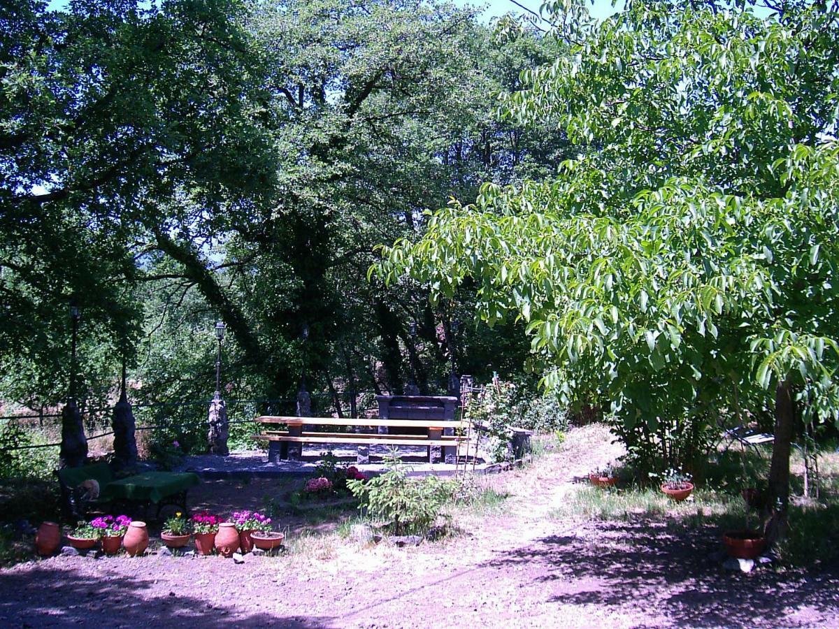 Cirasellaetna Βίλα SantʼAlfio Εξωτερικό φωτογραφία